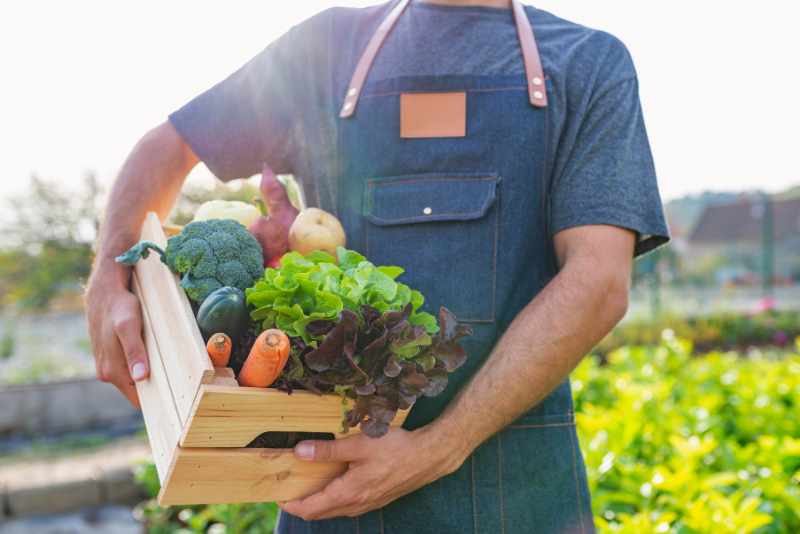 Farm to Table Produce Box Organic Farm Stays for Family | Freshly Prepared, Tasty Delicious Food Options at Ranakpur Nature Retreat, Ranakpur / Jawai near Udaipur Jodhpur Rajasthan
