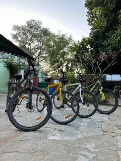 image-slider-with-thumbnail4.jpeg